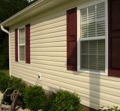 Vinyl Siding Cleaner