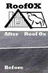 Shingle Roof Stain Cleaner