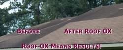 OX Roof Cleaner Results photo