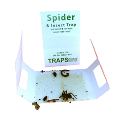 Spider Trap in action