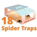 18 Green Spider Traps