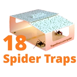 18 Green Spider Traps