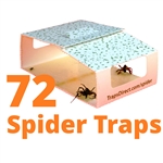 72 Green Spider Traps