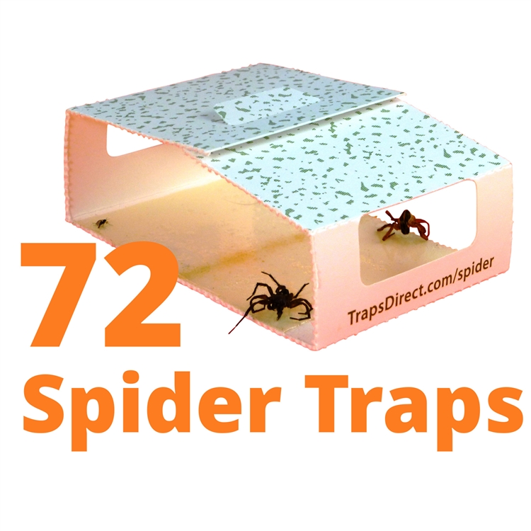 simple green spider trap revised design still safe for family and pets always pesticide free simple green spider trap revised design still safe for family and pets always pesticide free