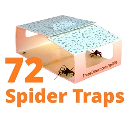 72 Green Spider Traps