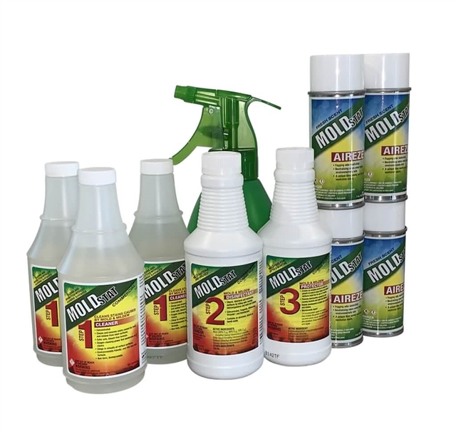 Black Mold Removal Kit