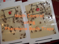 Pheromone Moth Trap vs Cheap Fly Ribbon: Totally Gross Review! 