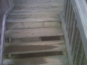Before Deck Cleaner QSE