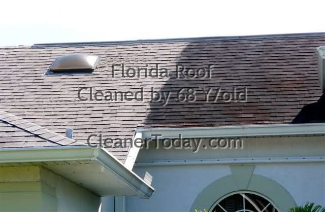 Lapel Roof Cleaning