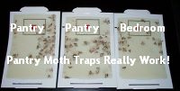 Pantry Moth Traps