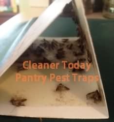 RESCUE!® Pantry & Birdseed Moth Trap