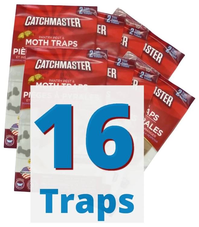 Powerful Pantry Moth Traps 15pk - Versatile and Effective | Results  Guaranteed